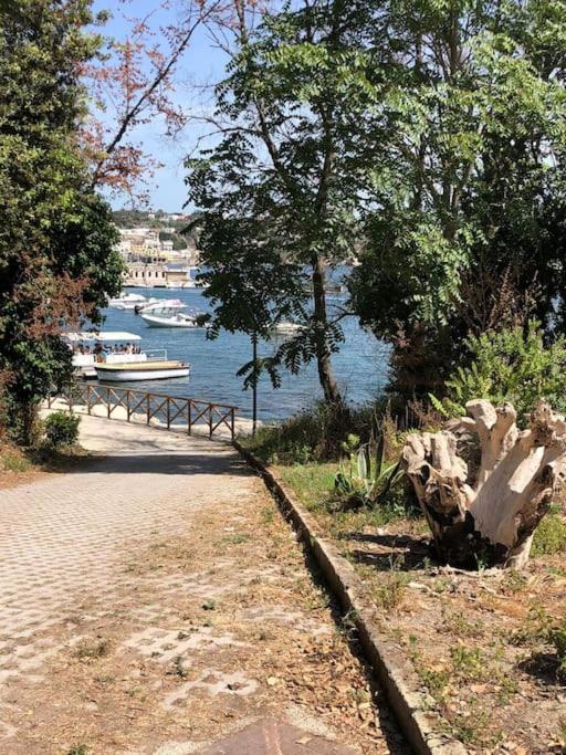 Апартаменти Domus Zagare - Wi-Fi Baia  Екстер'єр фото